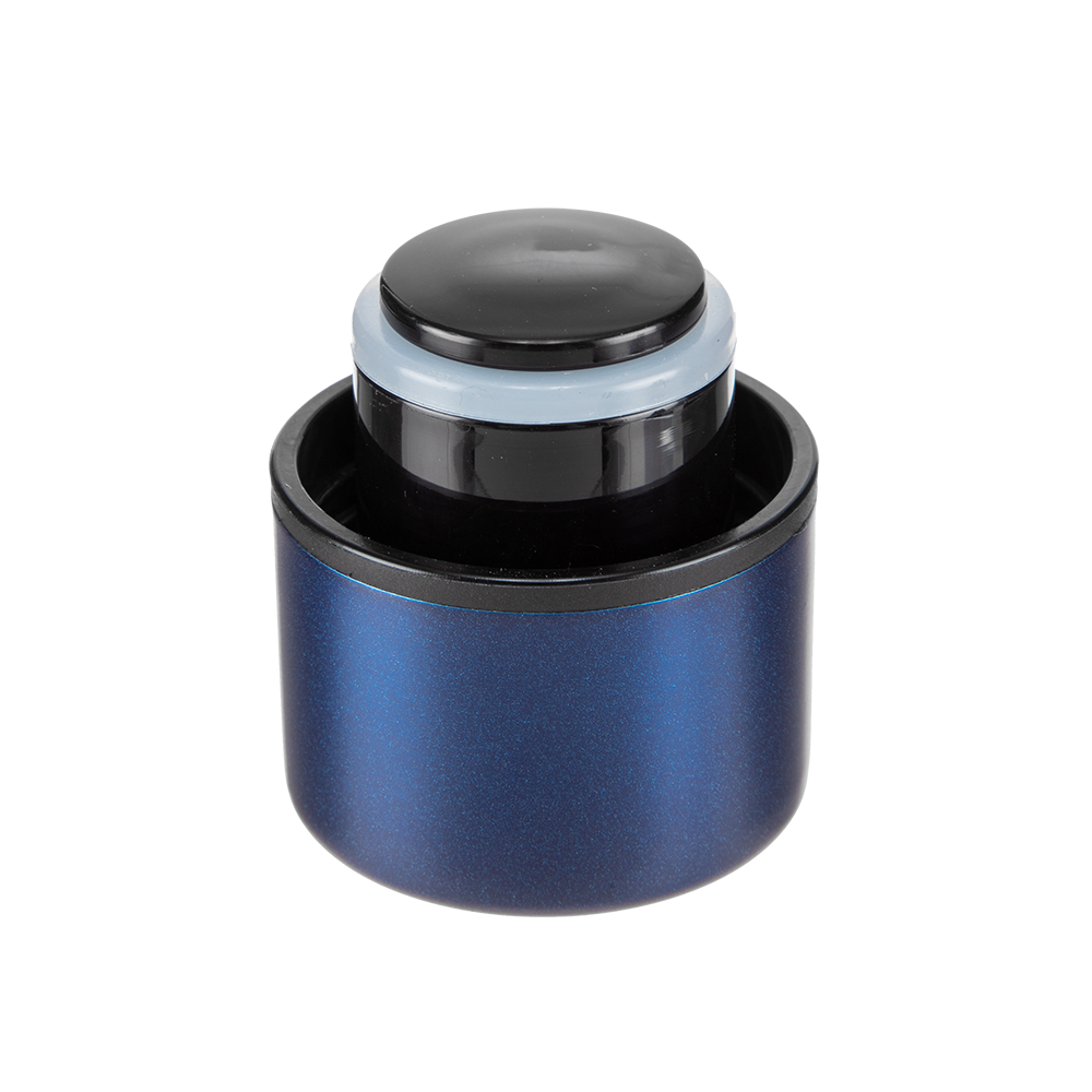 Stainless Steel Vacuum Bottle - Blue