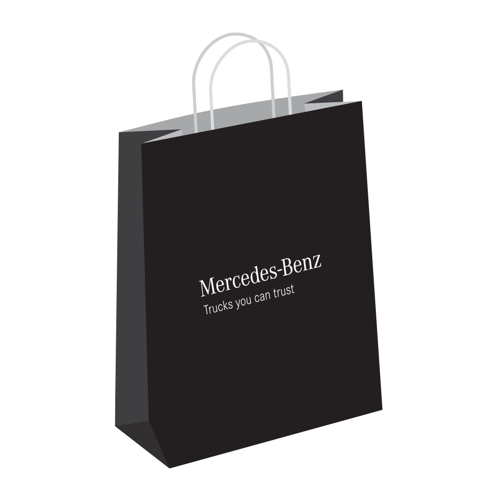 MBT Paper Bag large (Pack of 10)