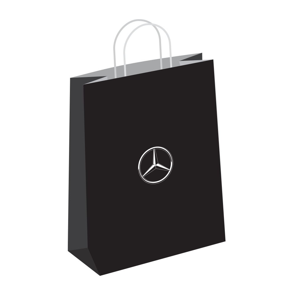 MBT Paper Bag large (Pack of 10)