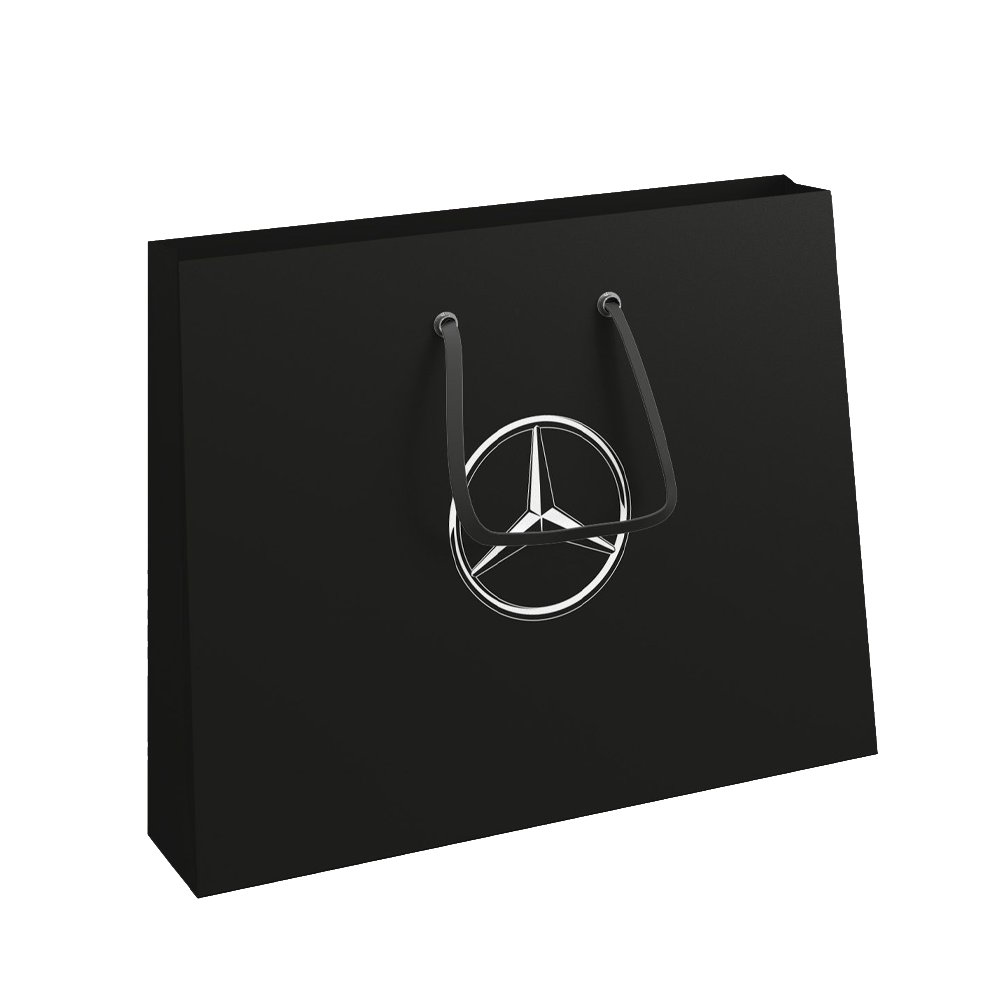 MBT Paper Bag Premium (Pack of 10)